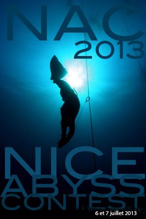 Nice Abyss Contest 2013